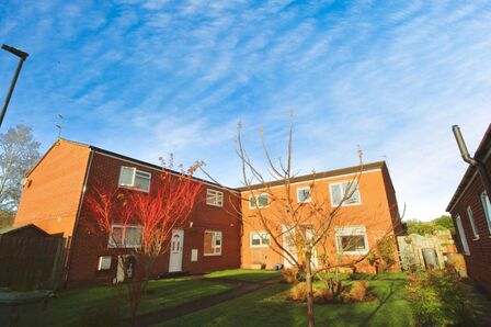 3 bedroom  Flat to rent