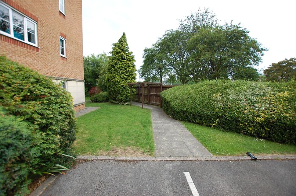 Image 11