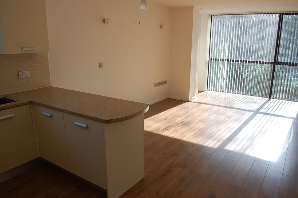 Lounge / Dining / Kitchen