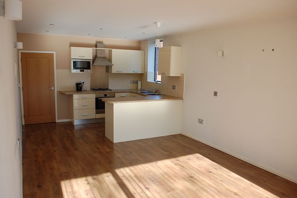 Lounge / Dining / Kitchen
