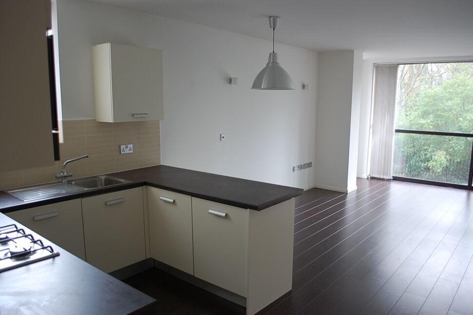 Open Plan Lounge / Dining / Kitchen