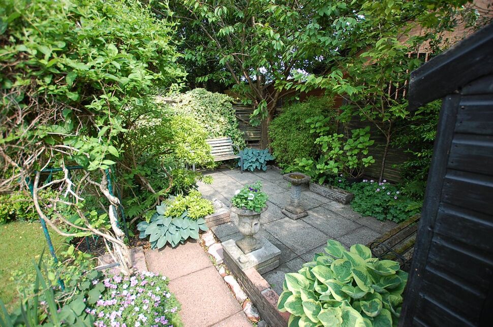 Image 15