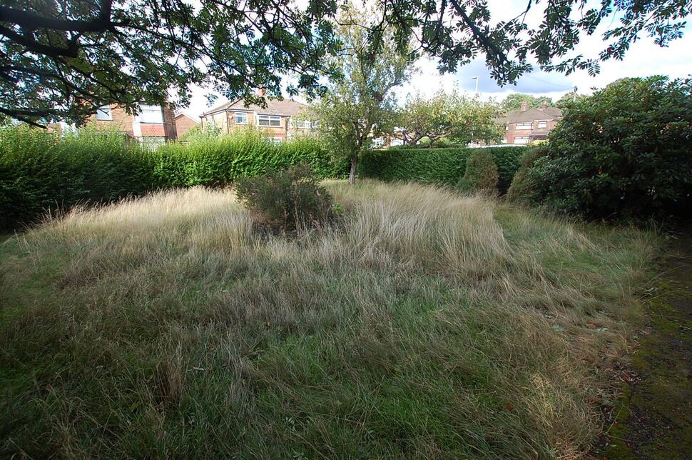 Image 24