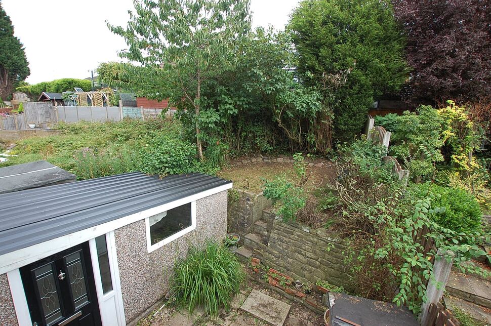 Image 15