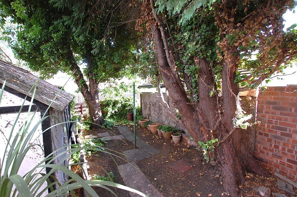 Image 15