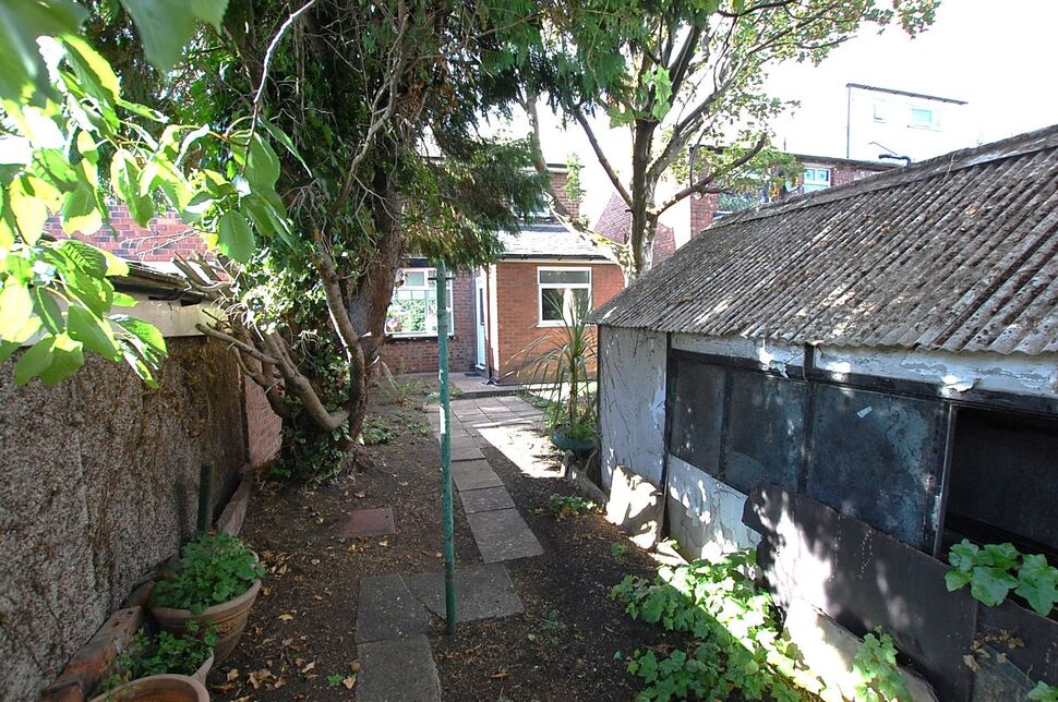 Image 16