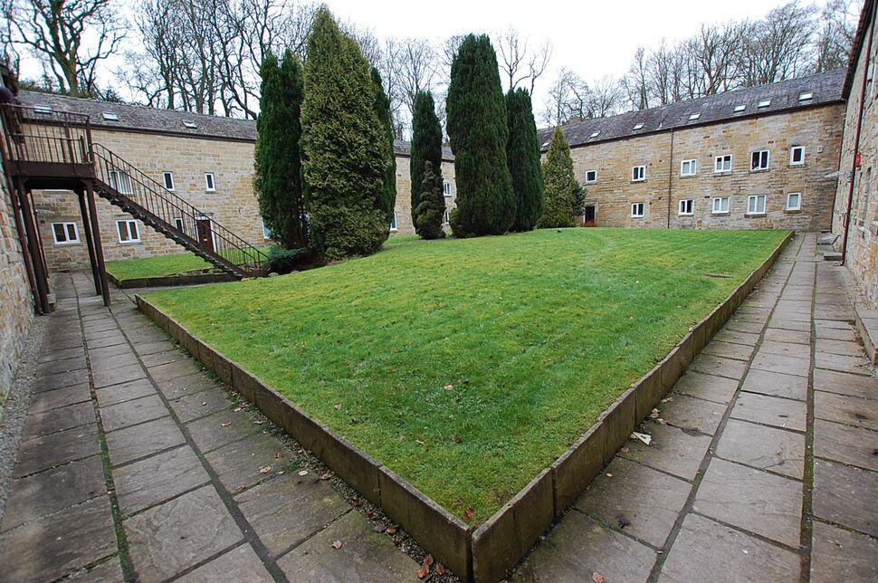 Image 13