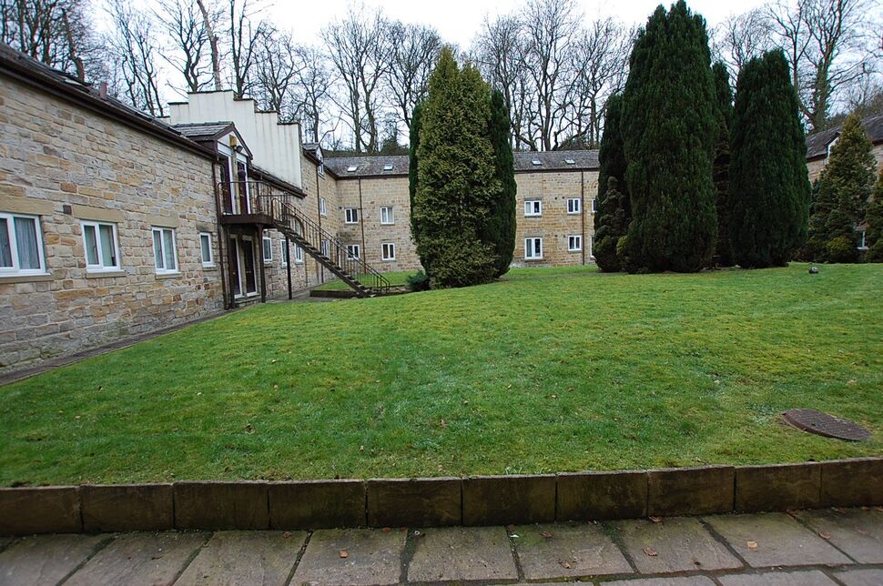Image 14
