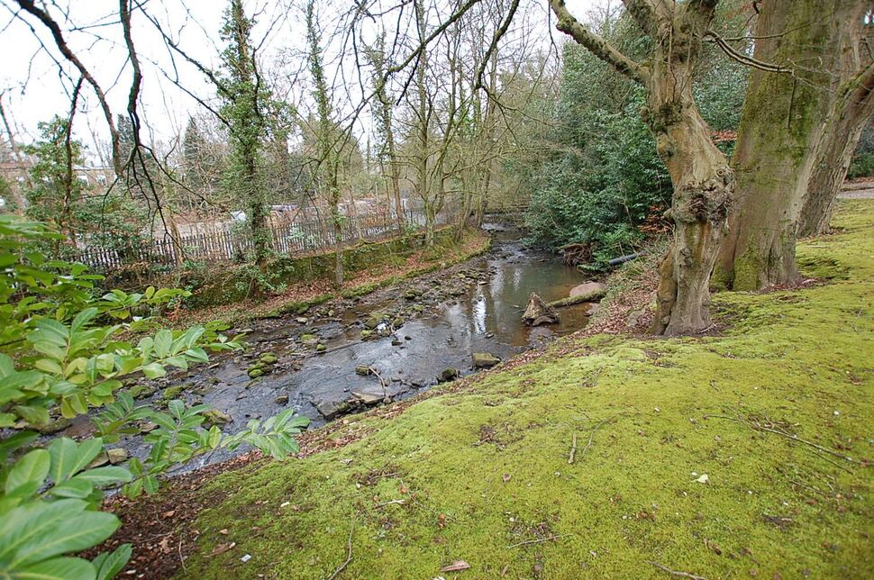 Image 15