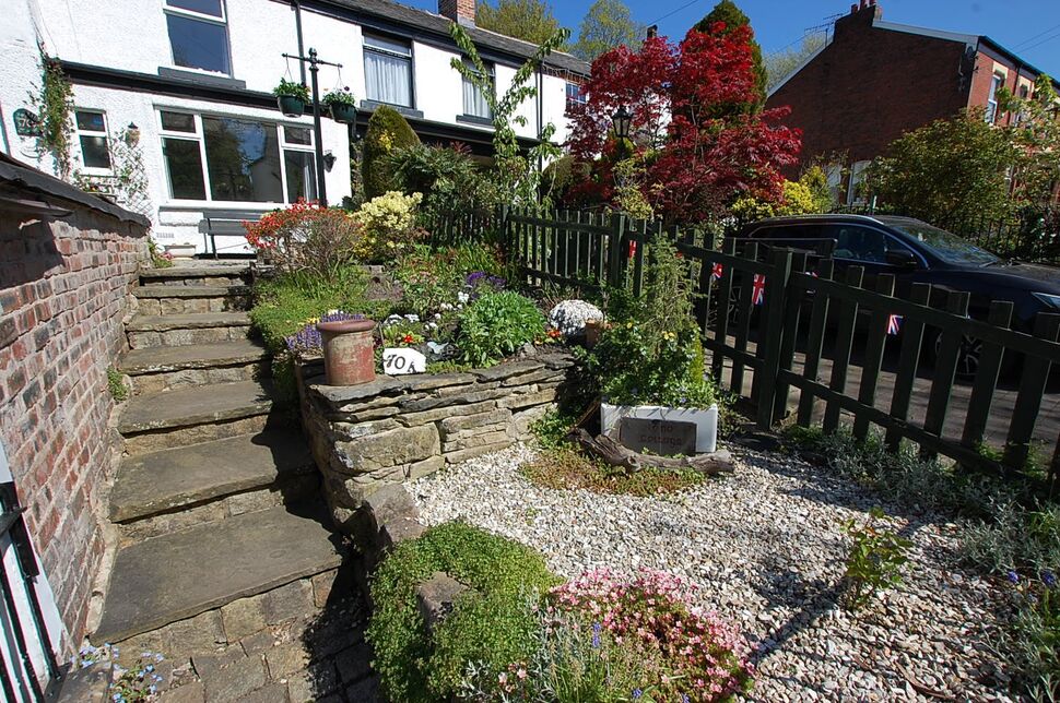 Image 15