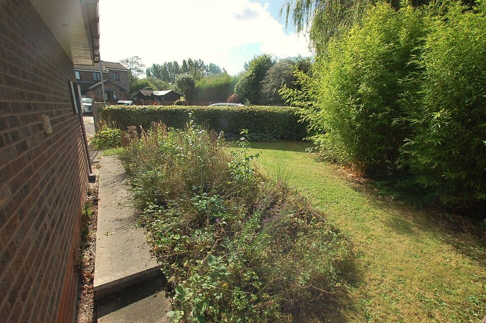 Image 23