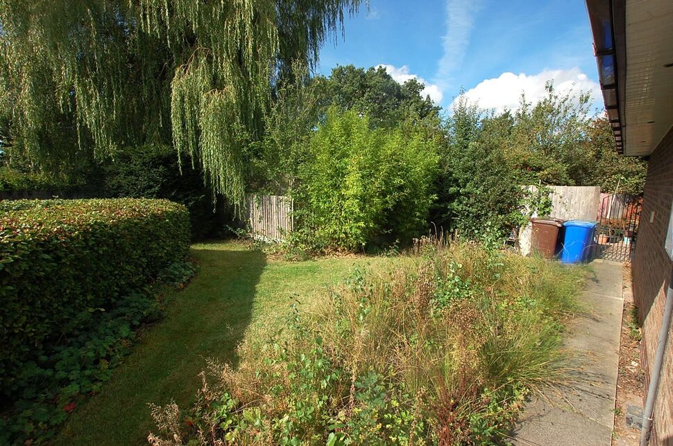 Image 22