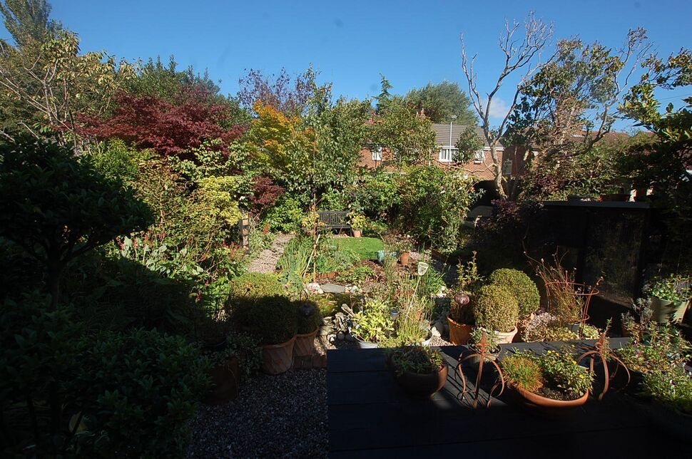 Image 15