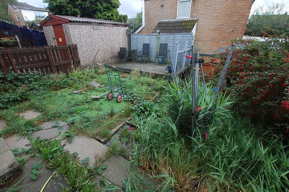 Image 14