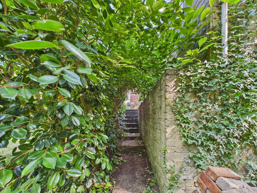 Image 16