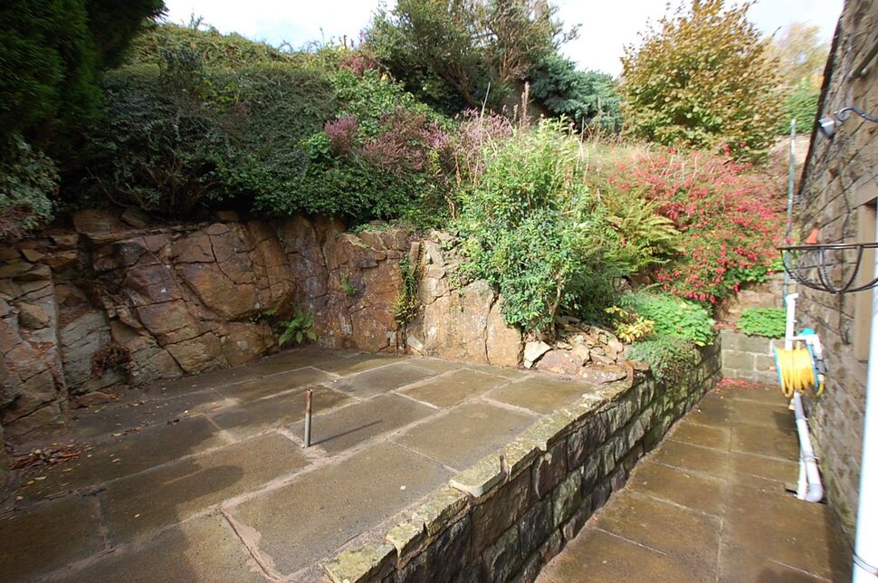 Image 15