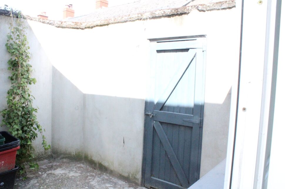 Image 13