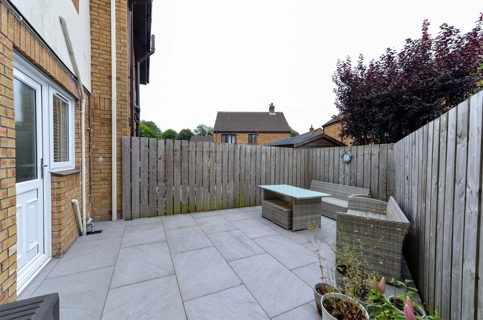 Image 15