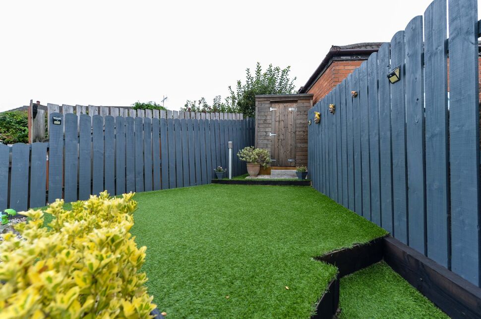 Image 29