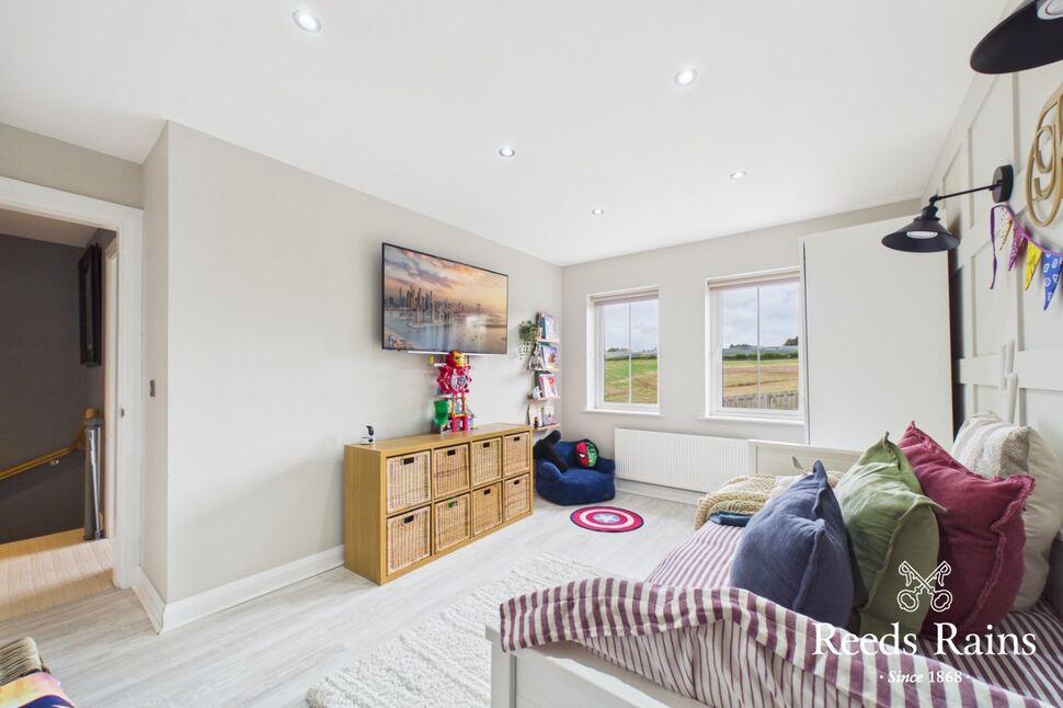 Image 19