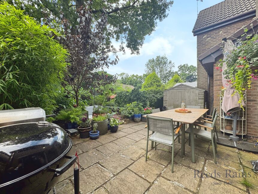 Image 20