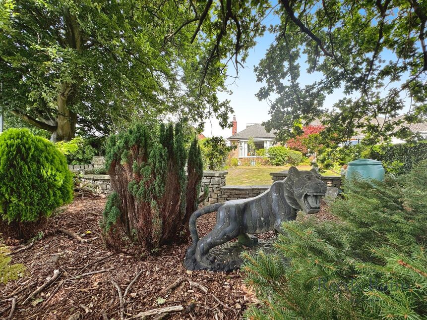 Image 20