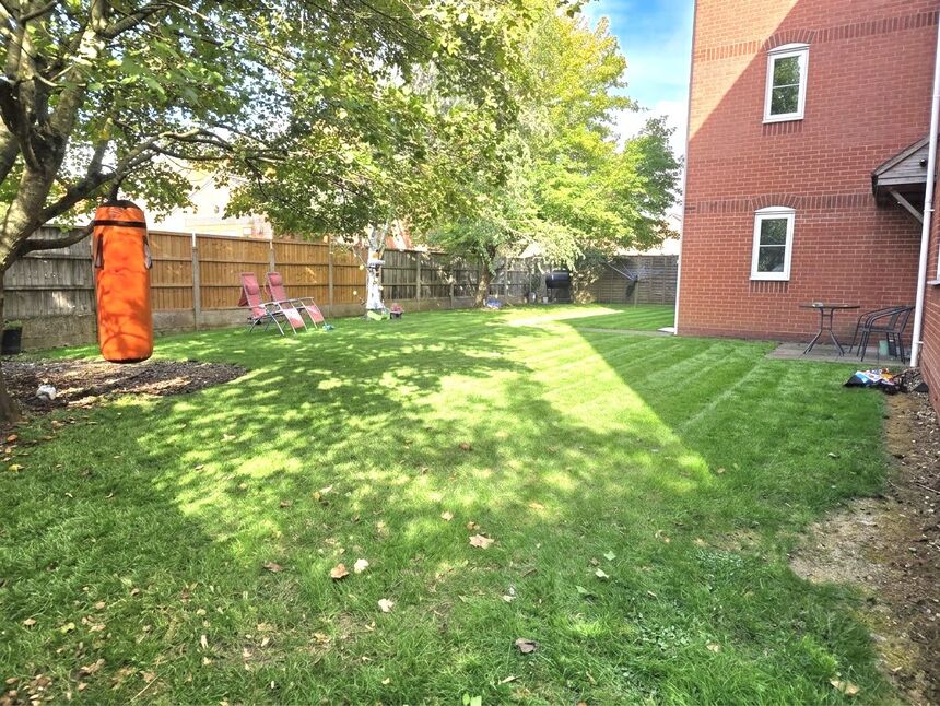 Image 12