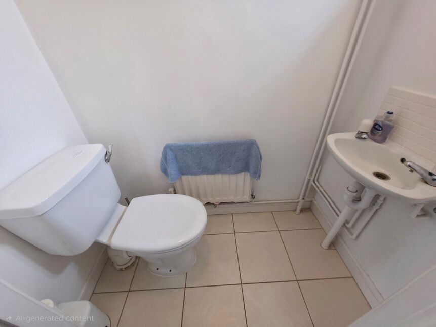 Image 10