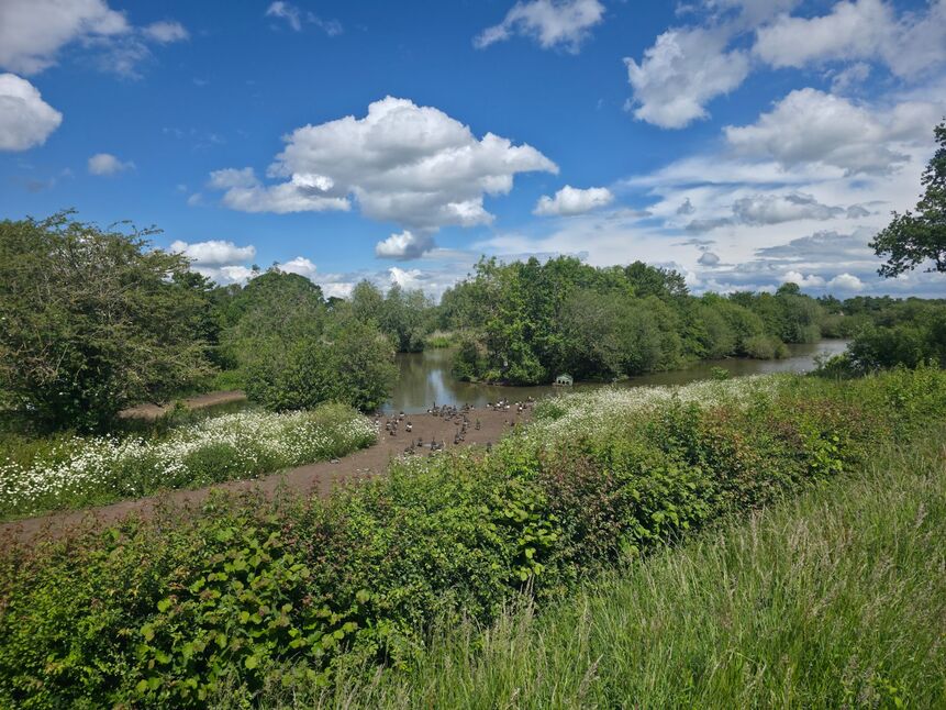 Image 26