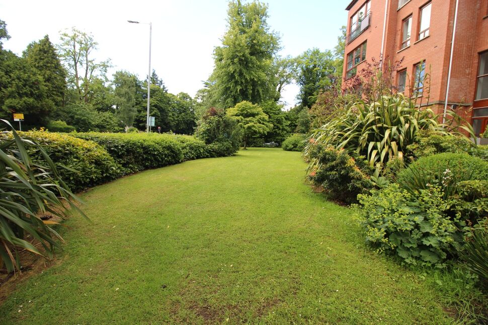 Image 22