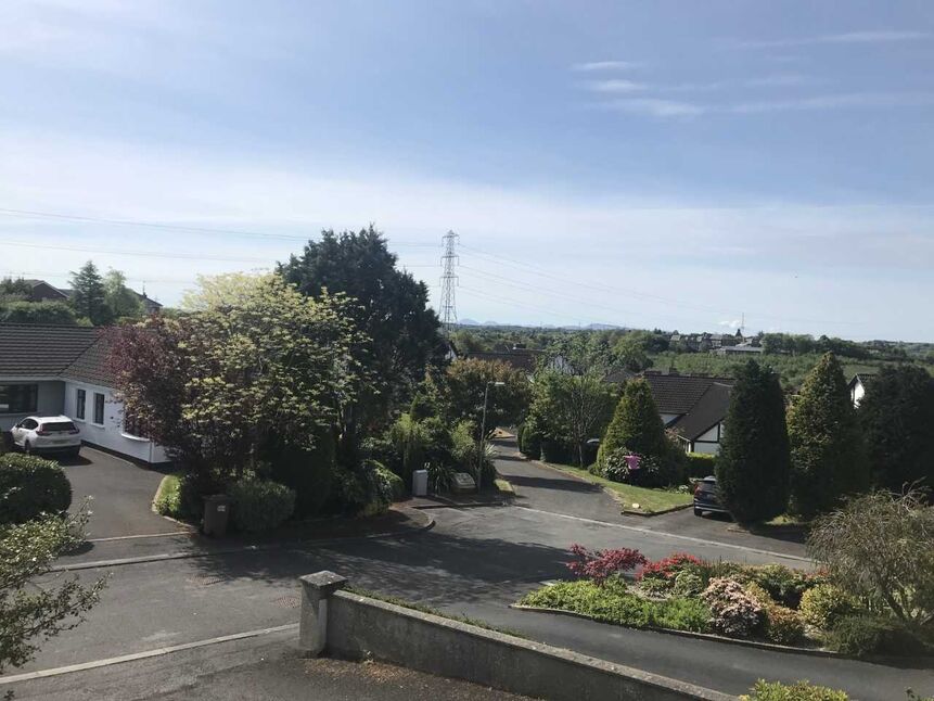 Image 16