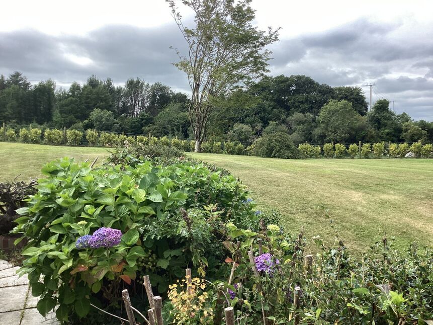 Image 37