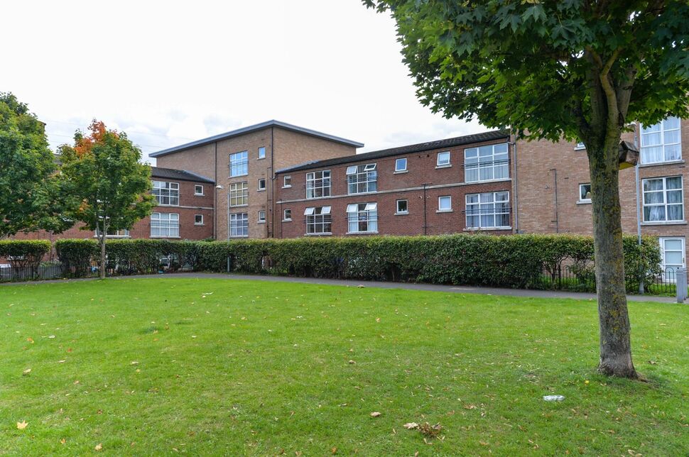 Image 14