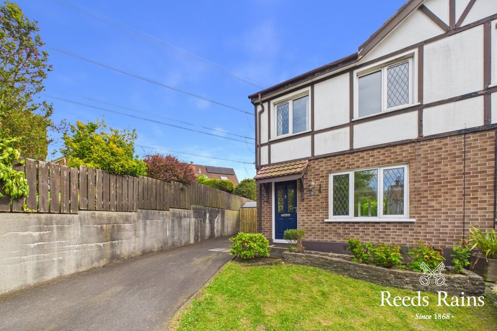 Image 19