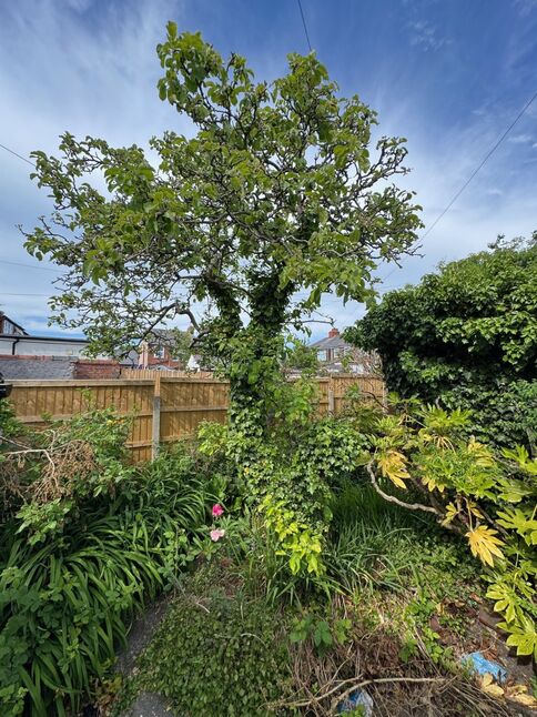 Image 12