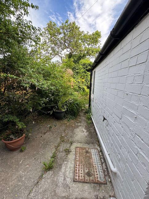 Image 15