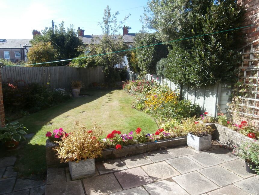 Image 13