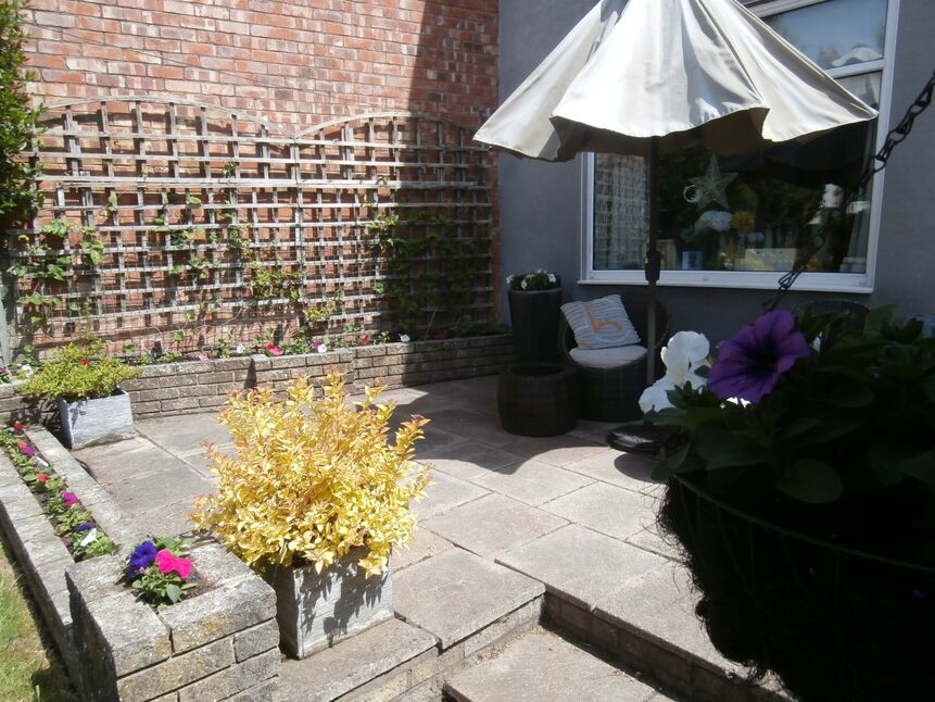 Image 14
