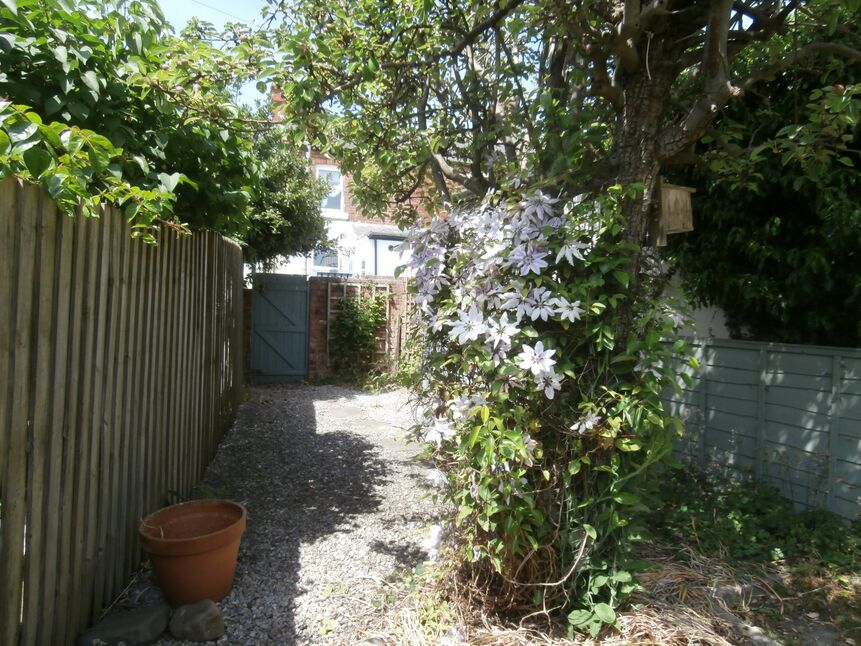 Image 15