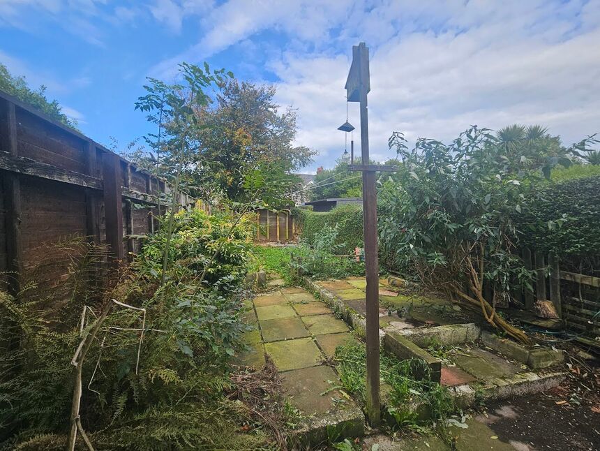 Image 12