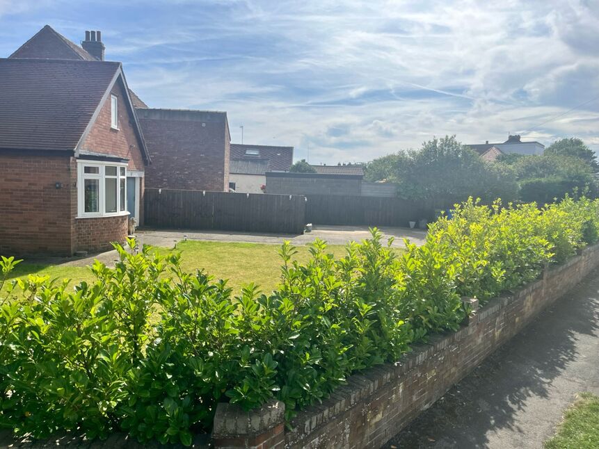 Image 13