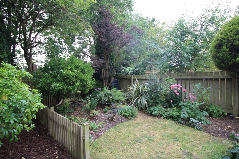 Image 20