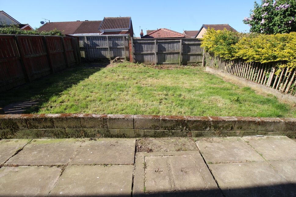 Image 15