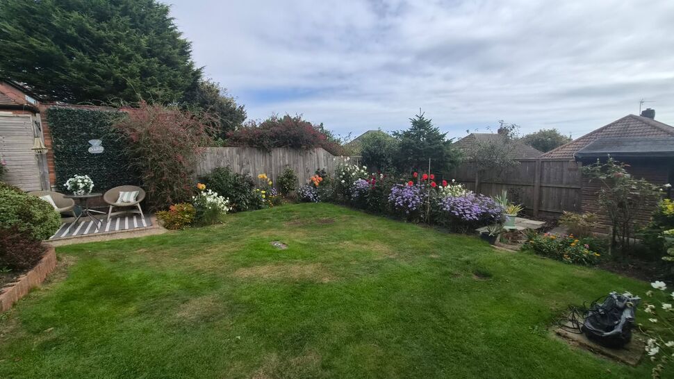 Image 14