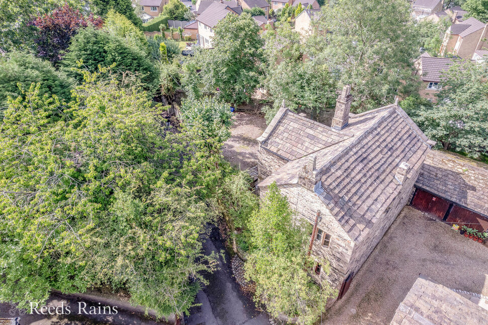 Image 20