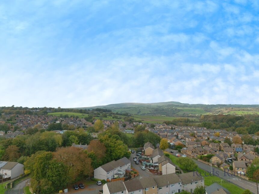 Image 15
