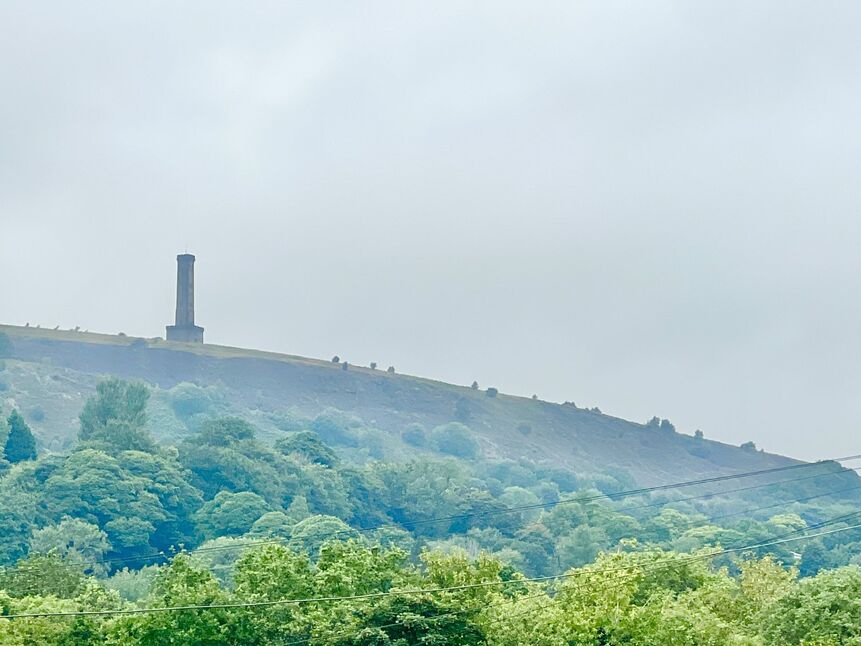 Image 31