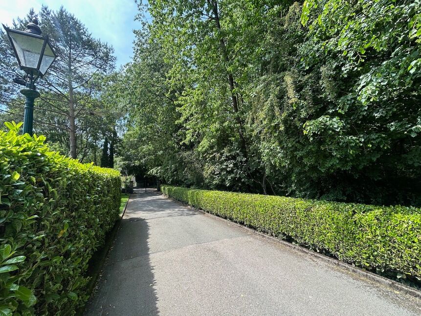 Image 27