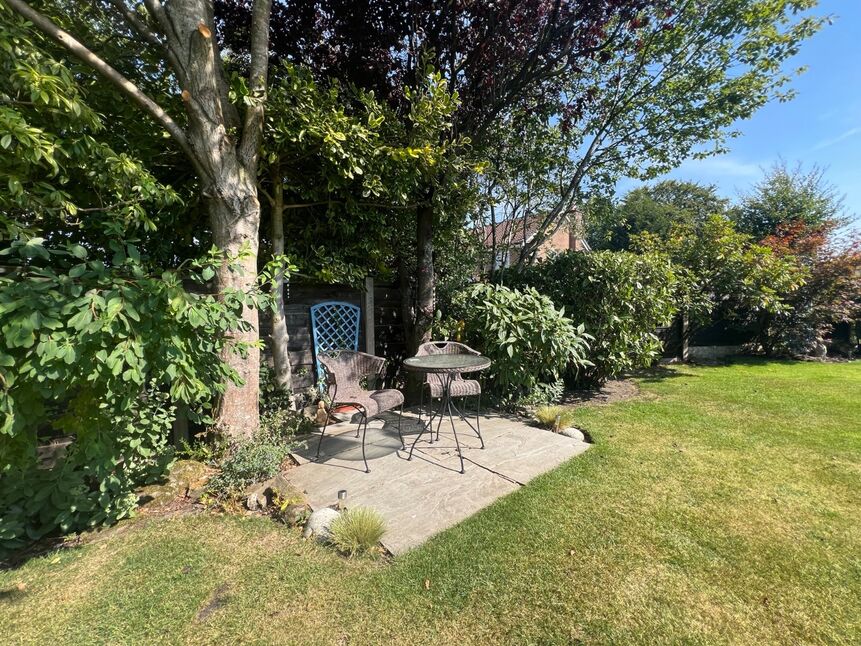 Image 31