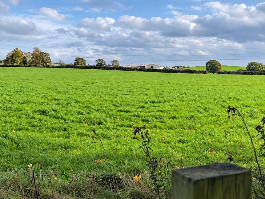 Image 30
